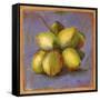 Cocos Locos IV-Patricia Pinto-Framed Stretched Canvas