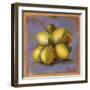 Cocos Locos IV-Patricia Pinto-Framed Art Print