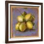 Cocos Locos IV-Patricia Pinto-Framed Art Print