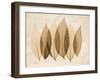 Coculus Leaf Moments-Albert Koetsier-Framed Art Print