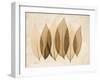 Coculus Leaf Moments-Albert Koetsier-Framed Art Print