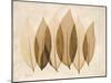 Coculus Leaf Moments-Albert Koetsier-Mounted Art Print