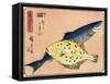 Cod and Halibut, 1830-1844-Utagawa Hiroshige-Framed Stretched Canvas