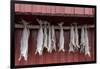 Cod drying on a wooden pole in Reine, Moskenesoy, the Lofoten Islands-Ellen Rooney-Framed Photographic Print