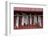 Cod drying on a wooden pole in Reine, Moskenesoy, the Lofoten Islands-Ellen Rooney-Framed Photographic Print