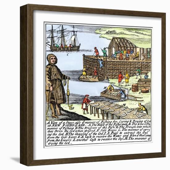 Cod Fishermen Drying and Salting Fish on the Newfoundland Coast, c.1700-null-Framed Giclee Print