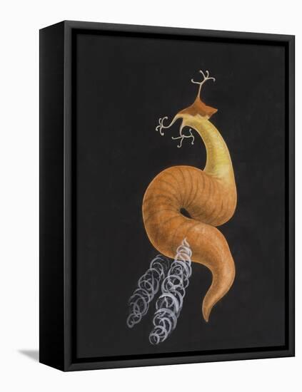 Cod Worm-Philip Henry Gosse-Framed Stretched Canvas