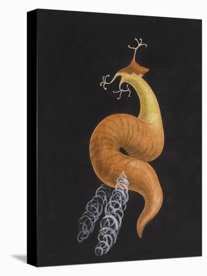 Cod Worm-Philip Henry Gosse-Stretched Canvas