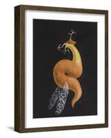 Cod Worm-Philip Henry Gosse-Framed Giclee Print