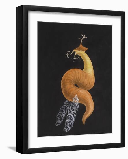 Cod Worm-Philip Henry Gosse-Framed Giclee Print