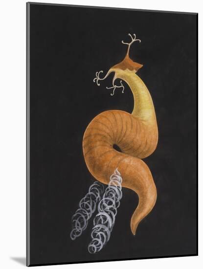 Cod Worm-Philip Henry Gosse-Mounted Giclee Print