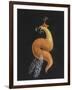 Cod Worm-Philip Henry Gosse-Framed Giclee Print