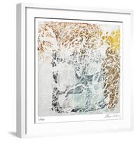 Coda 2-Lynn Basa-Framed Limited Edition