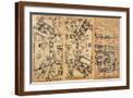 Brown Frame