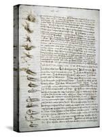 Codex Leicester: Water Flow-Leonardo da Vinci-Stretched Canvas