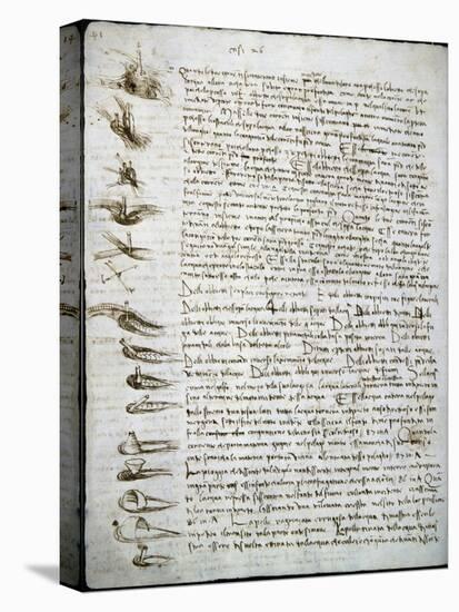Codex Leicester: Water Flow-Leonardo da Vinci-Stretched Canvas