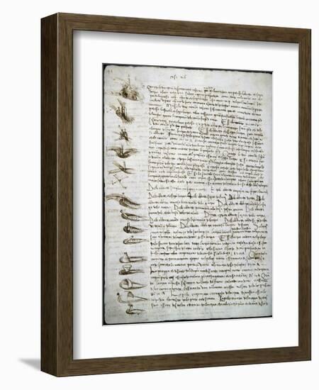 Codex Leicester: Water Flow-Leonardo da Vinci-Framed Premium Giclee Print
