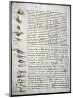 Codex Leicester: Water Flow-Leonardo da Vinci-Mounted Premium Giclee Print