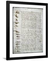 Codex Leicester: Water Flow-Leonardo da Vinci-Framed Giclee Print