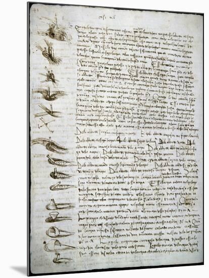Codex Leicester: Water Flow-Leonardo da Vinci-Mounted Giclee Print
