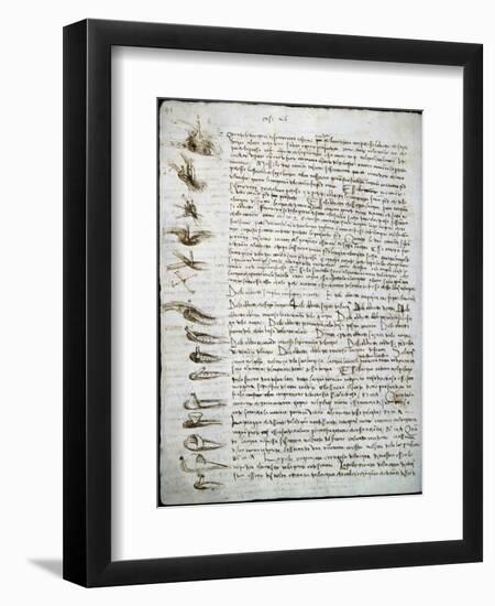 Codex Leicester: Water Flow-Leonardo da Vinci-Framed Giclee Print