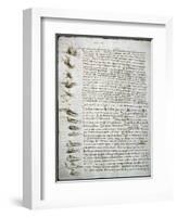 Codex Leicester: Water Flow-Leonardo da Vinci-Framed Giclee Print