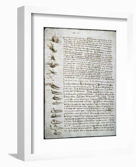 Codex Leicester: Water Flow-Leonardo da Vinci-Framed Giclee Print