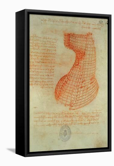 Codex Madrid 1/57-R Study for a Sculpture of a Horse-Leonardo da Vinci-Framed Stretched Canvas