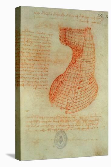 Codex Madrid 1/57-R Study for a Sculpture of a Horse-Leonardo da Vinci-Stretched Canvas