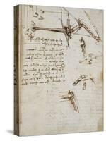 Codex on the Flight of Birds-Leonardo da Vinci-Stretched Canvas