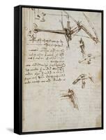 Codex on the Flight of Birds-Leonardo da Vinci-Framed Stretched Canvas