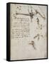 Codex on the Flight of Birds-Leonardo da Vinci-Framed Stretched Canvas