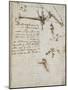 Codex on the Flight of Birds-Leonardo da Vinci-Mounted Giclee Print