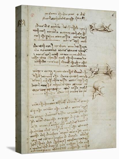 Codex on the Flight of Birds-Leonardo da Vinci-Stretched Canvas