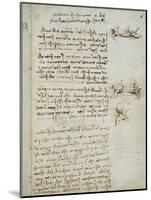 Codex on the Flight of Birds-Leonardo da Vinci-Mounted Giclee Print