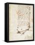 Codex on the Flight of Birds-Leonardo da Vinci-Framed Stretched Canvas