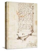 Codex on the Flight of Birds-Leonardo da Vinci-Stretched Canvas