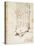 Codex on the Flight of Birds-Leonardo da Vinci-Stretched Canvas