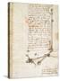 Codex on the Flight of Birds-Leonardo da Vinci-Stretched Canvas