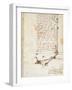 Codex on the Flight of Birds-Leonardo da Vinci-Framed Giclee Print