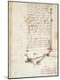 Codex on the Flight of Birds-Leonardo da Vinci-Mounted Giclee Print