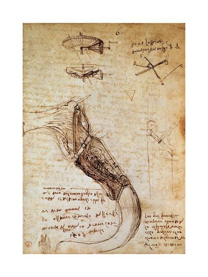 Codex On The Flight Of Birds Giclee Print Leonardo Da Vinci Allposters Com Codex On The Flight Of Birds Giclee Print Leonardo Da Vinci Allposters Com