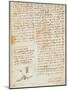 Codex on the Flight of Birds-Leonardo da Vinci-Mounted Giclee Print