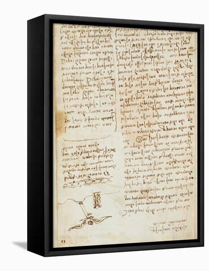 Codex on the Flight of Birds-Leonardo da Vinci-Framed Stretched Canvas