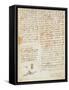 Codex on the Flight of Birds-Leonardo da Vinci-Framed Stretched Canvas