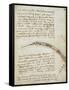 Codex on the Flight of Birds-Leonardo da Vinci-Framed Stretched Canvas