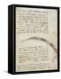 Codex on the Flight of Birds-Leonardo da Vinci-Framed Stretched Canvas