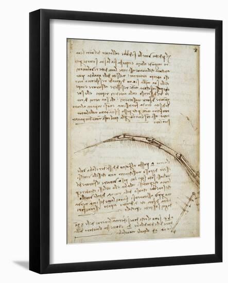 Codex on the Flight of Birds-Leonardo da Vinci-Framed Giclee Print