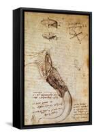 Codex on the Flight of Birds-Leonardo da Vinci-Framed Stretched Canvas