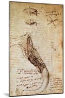 Codex on the Flight of Birds-Leonardo da Vinci-Mounted Giclee Print